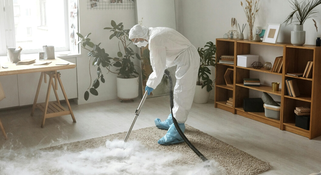 Deep Carpet Cleaning